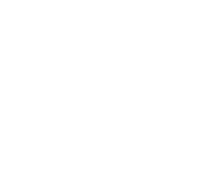 CCIM white logo